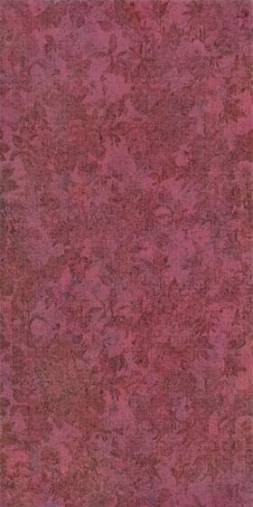 ʯɲǽשǽש 300X600ĵͤ96527300X600MM