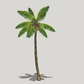 ͼʦģֲģȫ20221185