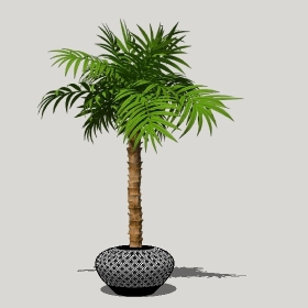 ͼʦģֲģȫ20221291