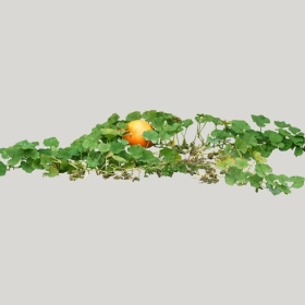 ͼʦģֲģȫ20222242