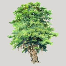 ͼʦģֲģȫ20221310