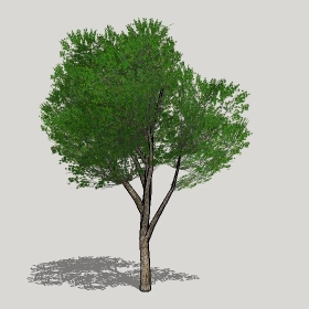 ͼʦģֲģȫ20221286