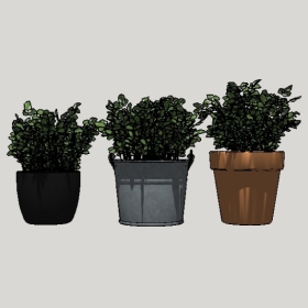 ����ֲ��_Sketchup��ͼ��ʦģ��Enscape����22020426511