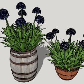 ͼʦSketchupƷģ20221125ϴ056