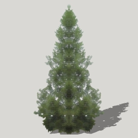 ͼʦģֲģȫ20222413