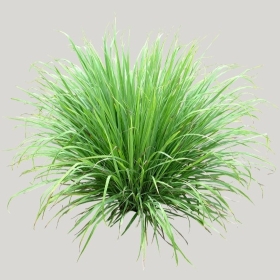 ͼʦģֲģȫ20221822