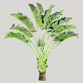 ͼʦģֲģȫ20222579