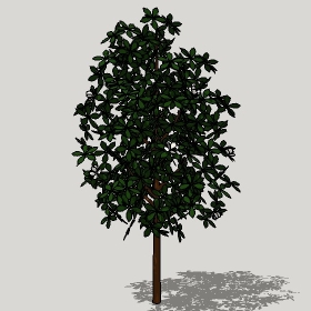 ͼʦģֲTTrees2Dֱģ094