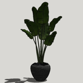 ����ֲ��_Sketchup��ͼ��ʦģ��Enscape����22020426501