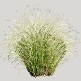 ͼʦģֲģȫ20222003