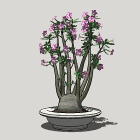 ����ֲ��_Sketchup��ͼ��ʦģ��Enscape����22020426486