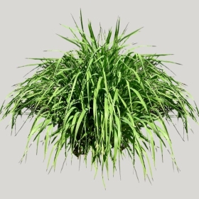 ͼʦģֲģȫ20222253