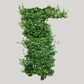 ͼʦģֲģȫ20221746