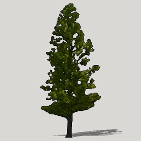 ͼʦģֲTTrees2Dֱģ060