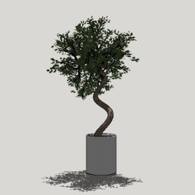 ����ֲ��_Sketchup��ͼ��ʦģ��Enscape����22020426449