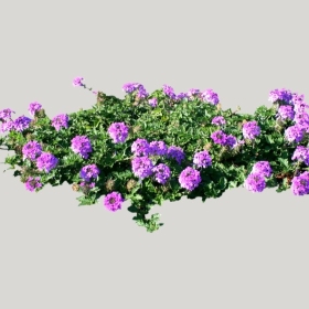 ͼʦģֲģȫ20221712