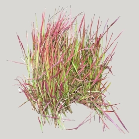 ͼʦģֲģȫ20221727