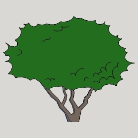 ͼʦģֲģȫ20222307