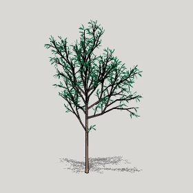 ͼʦģֲģȫ20221245