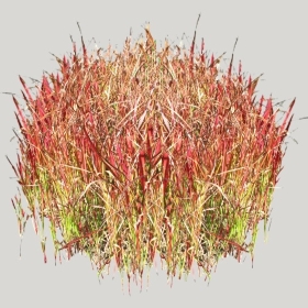 ͼʦģֲģȫ20221728