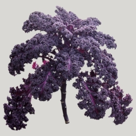 ͼʦģֲģȫ20221760