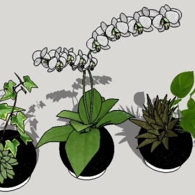 ͼʦSketchupƷģ20221125ϴ058