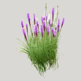 ͼʦģֲģȫ20221433