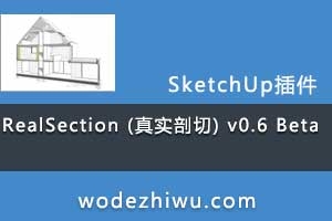 RealSection (ʵ) v0.6 Beta