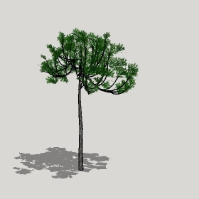 ͼʦģֲģȫ20221231