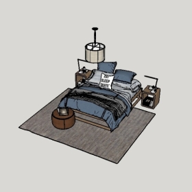 _SketchupͼʦģVray202204253458