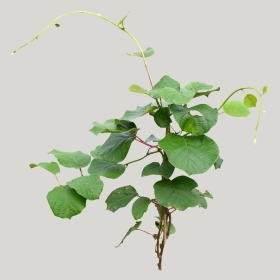 ͼʦģֲģȫ20221773