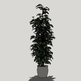 ����ֲ��_Sketchup��ͼ��ʦģ��Enscape����22020426453