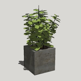 ����ֲ��_Sketchup��ͼ��ʦģ��Enscape����22020426478