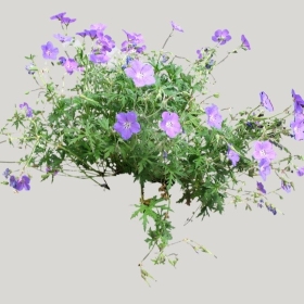 ͼʦģֲģȫ20221439