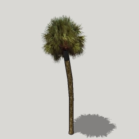 ͼʦģֲģȫ20221234