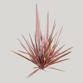 ͼʦģֲģȫ20221994