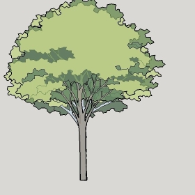 ͼʦģֲTTrees2Dֱģ147