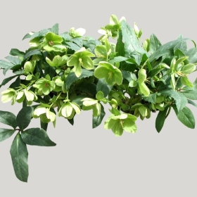 ͼʦģֲģȫ20221828