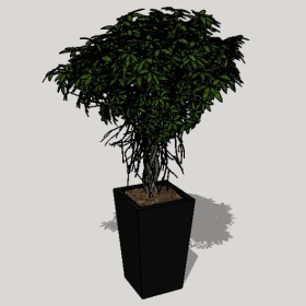 ͼʦSketchupƷģ20221125ϴ054