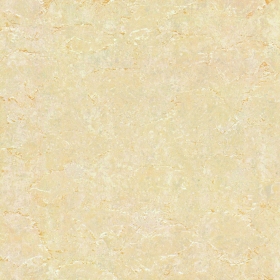 ʯɲ׹ש˿˿PG8503C  800X800MM