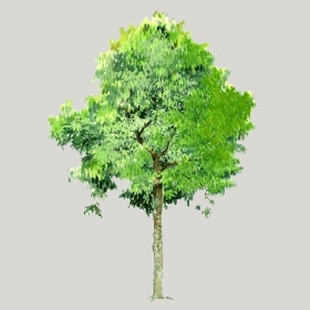 ͼʦģֲģȫ20222658