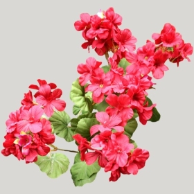 ͼʦģֲģȫ20221622