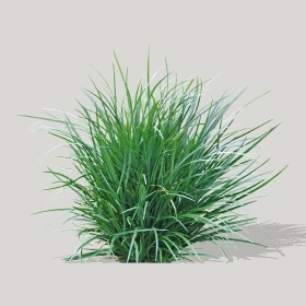 ͼʦģֲģȫ20221747