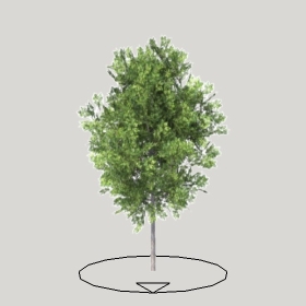 ͼʦģֲģȫ20221380