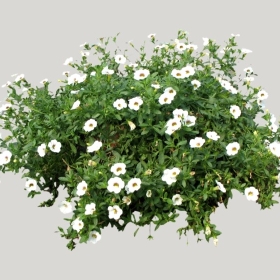 ͼʦģֲģȫ20221933