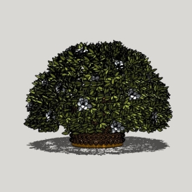 ����ֲ��_Sketchup��ͼ��ʦģ��Enscape����22020426520