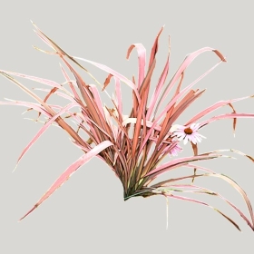 ͼʦģֲģȫ20221995