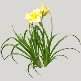 ͼʦģֲģȫ20221016