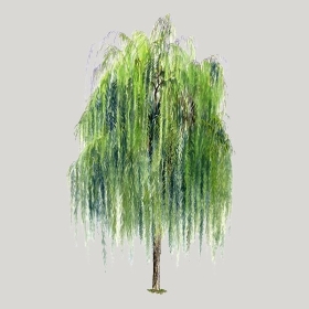 ͼʦģֲģȫ20222493