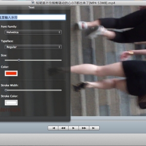 VideoMark 2.2 绿化版 Mac 视频批量添加水印工具